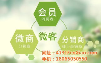 龍海制造，網加賦能 技術推廣如何驅動工廠網絡營銷新篇章